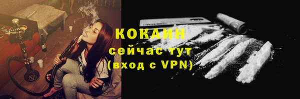 сатива Лихославль