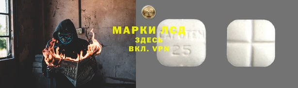 сатива Лихославль