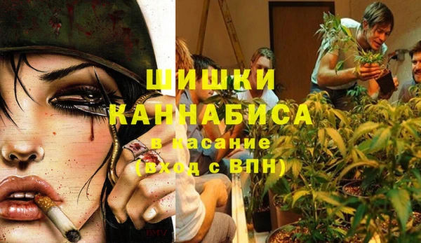 сатива Лихославль