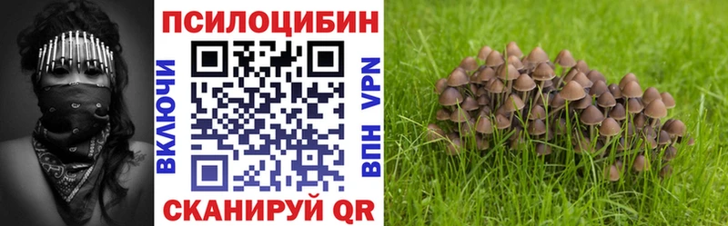 Псилоцибиновые грибы Psilocybine cubensis Обнинск